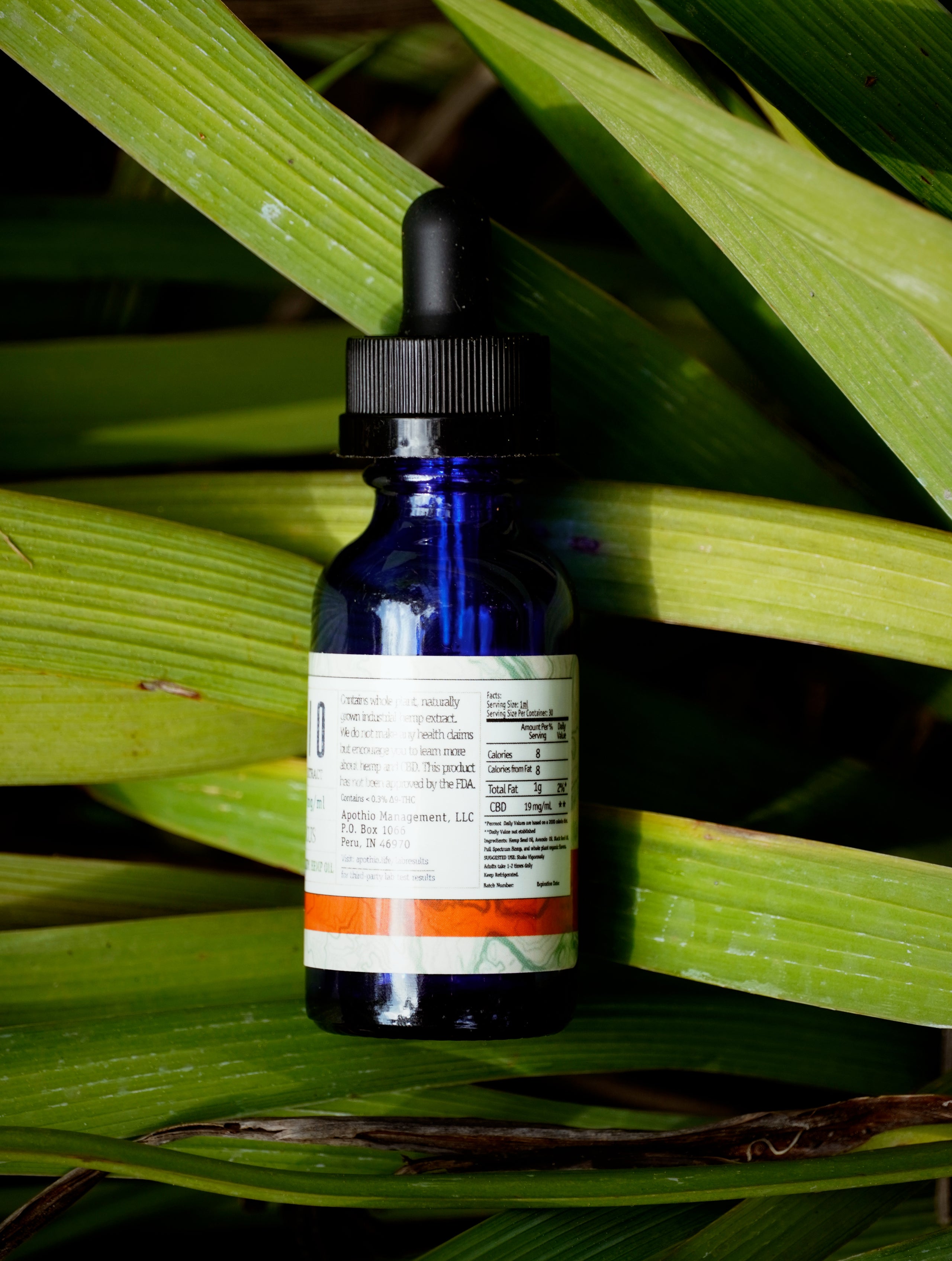 8:1 – Zen Focus Full-Spectrum Hemp Oil 570mg/CBD