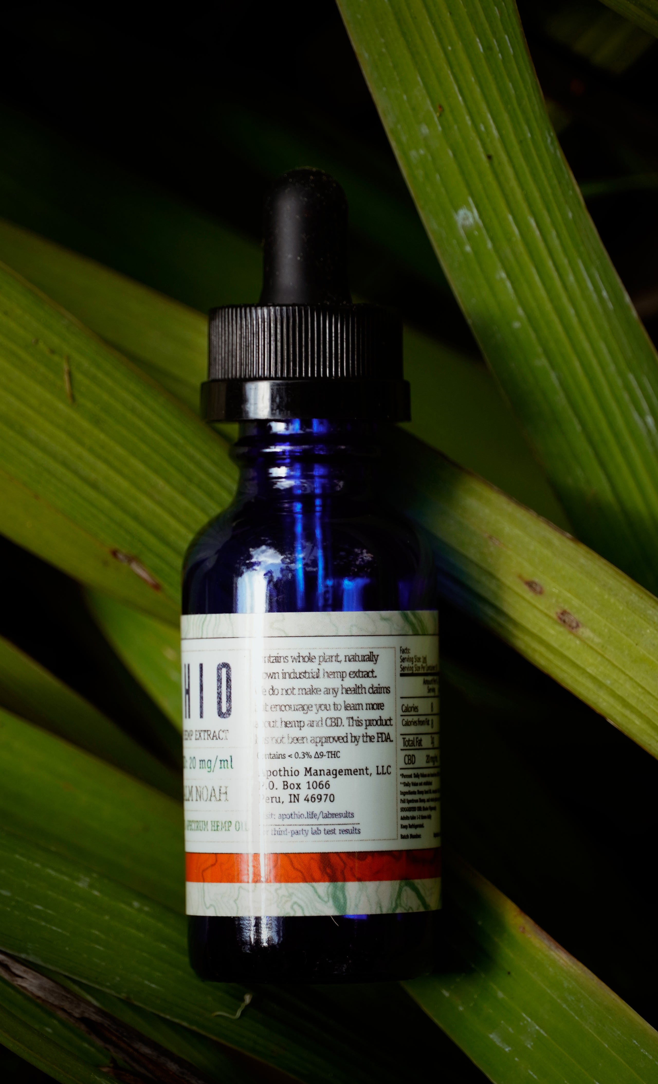 11:1 Calm Noah Full-Spectrum CBD Oil 600mg/CBD