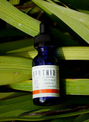 8:1 – Zen Focus Full-Spectrum Hemp Oil 570mg/CBD